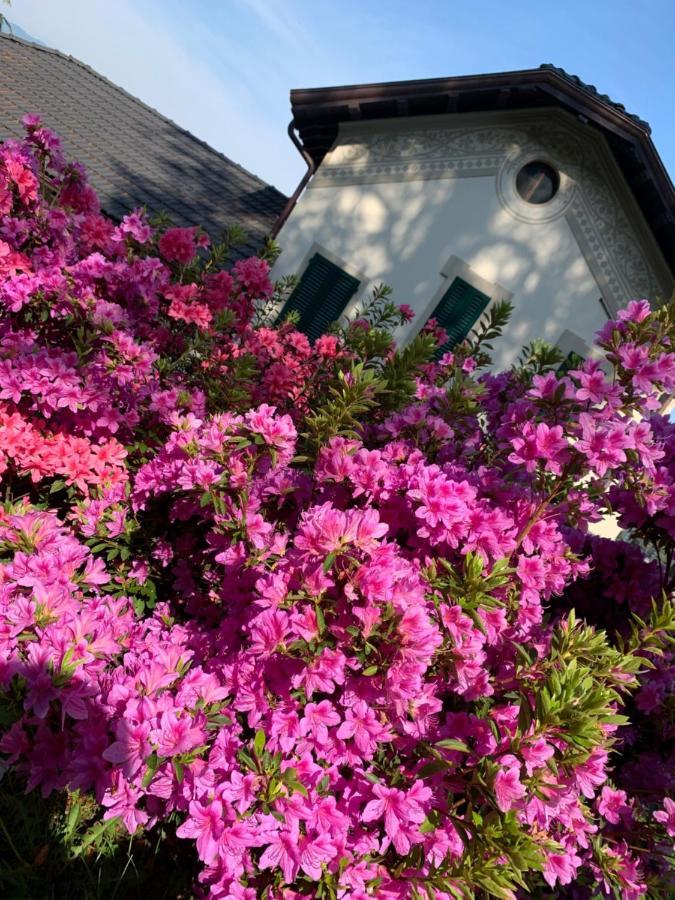 شقة Giardini Magnolia بيلجيراتي المظهر الخارجي الصورة