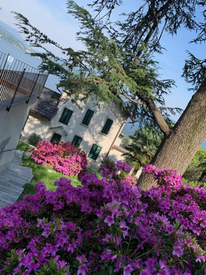 شقة Giardini Magnolia بيلجيراتي المظهر الخارجي الصورة