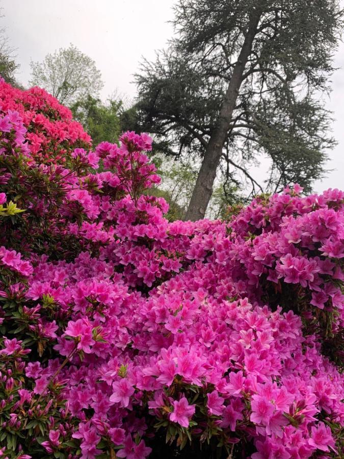 شقة Giardini Magnolia بيلجيراتي المظهر الخارجي الصورة